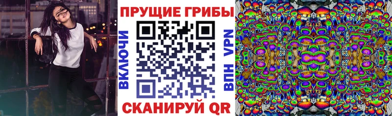 закладки Семикаракорск Псилоцибиновые грибы ЛСД